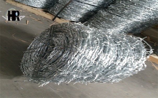 DSC_1336.jpg DSC_1336.jpg