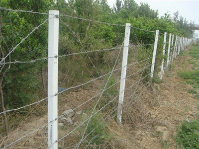 刺繩立柱 刺繩立柱